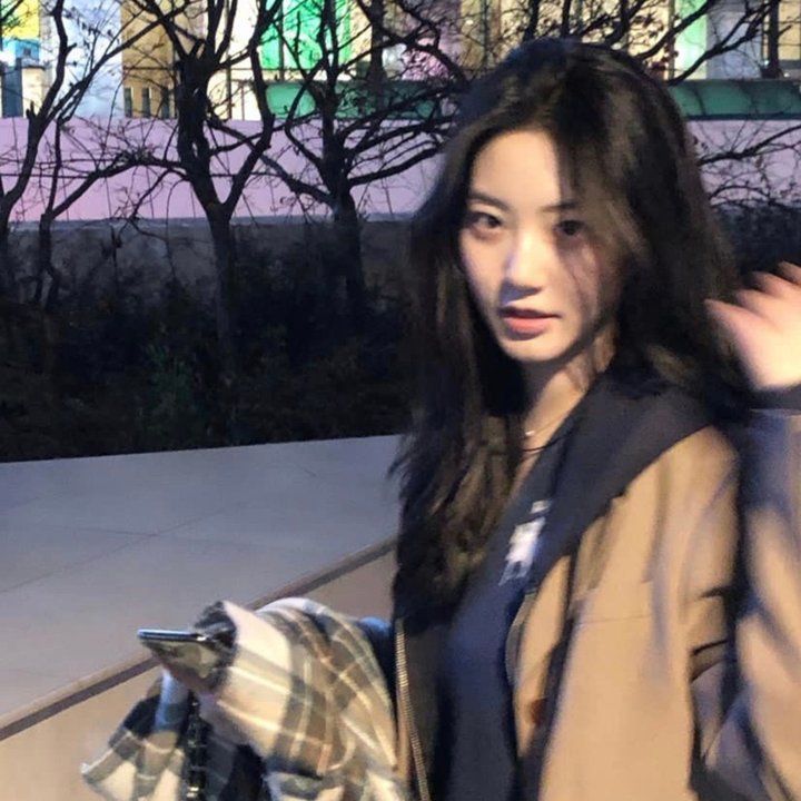 玫瑰舞后